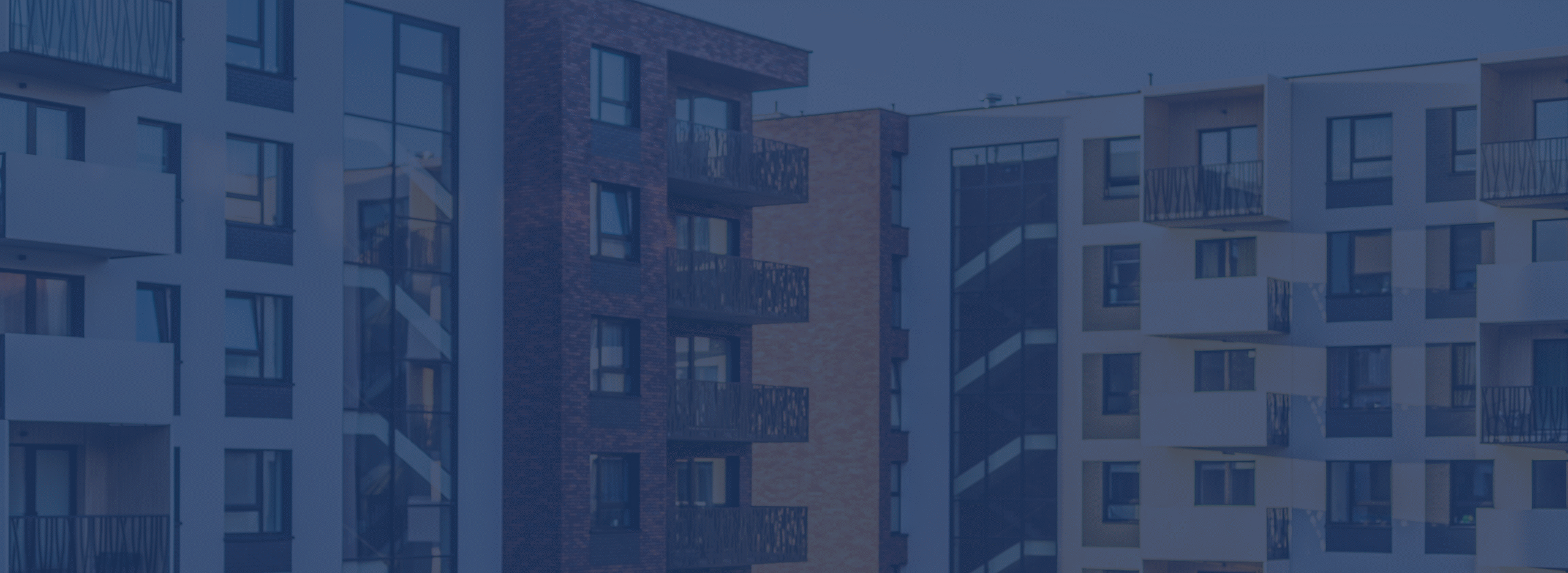 banner-background-scaled